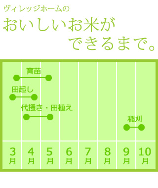 美味しいお米ができるまで