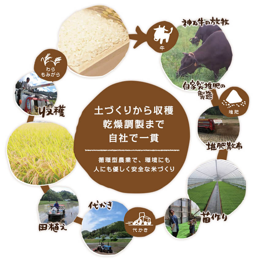 土づくりから収穫乾燥調製まで自社で一貫。循環型農業で、環境にも人にも優しく安全な米づくり。