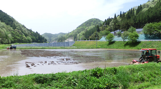 標高500mの冷涼高原地帯